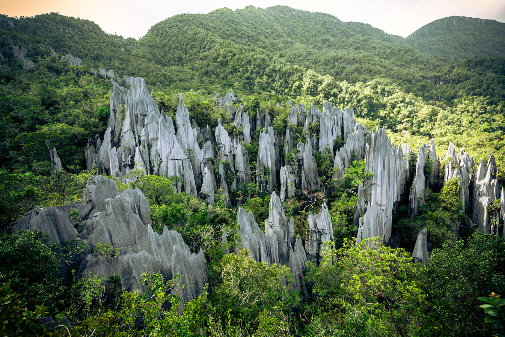 The Pinnacles Rock Formation at Gunung Mulu National Park